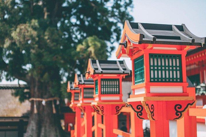 奈良の鹿公園、宇治抹茶&大阪発温泉1日ツアー