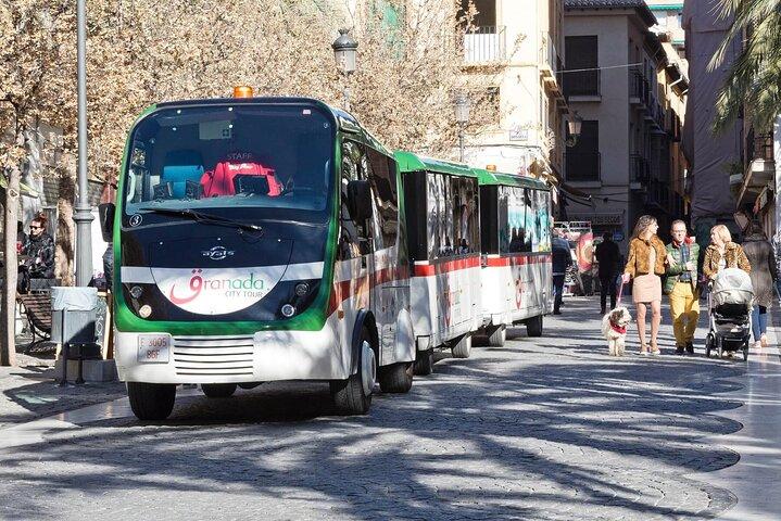 Alhambra tickets with Nasrid Palaces + Tourist Train