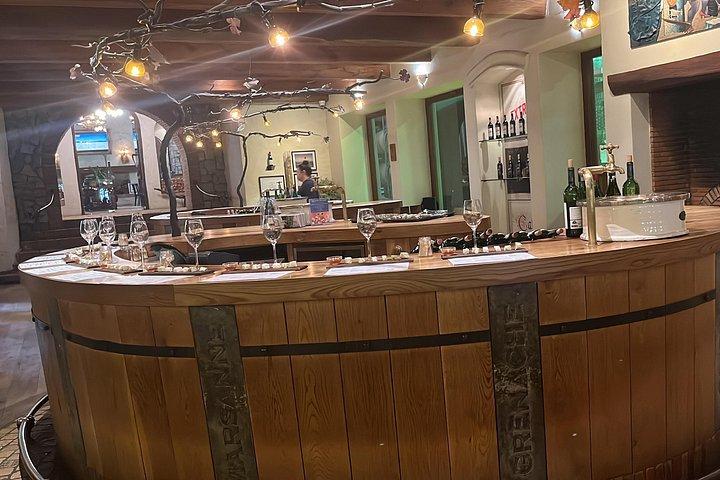Aquila Big 5 Safari and Wine Tasting Day Tour – From Cape Town