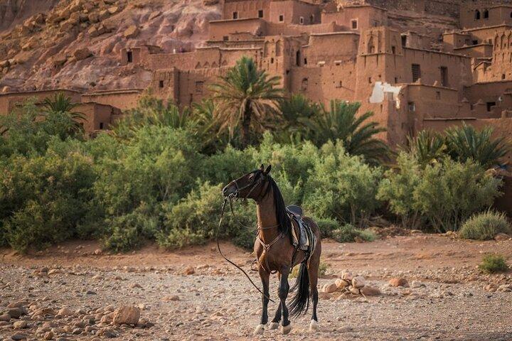 3 Day Sahara Desert Trip with Camel Ride from Marrakech