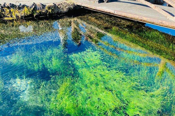 箱根・富士山日帰りツアー：芦ノ湖鳥居＆忍野八海