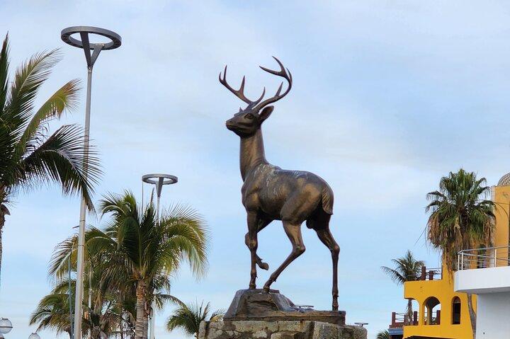 Privé stadstour door Mazatlán