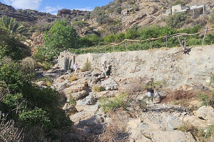 Discover Nizwa and Jabel Akhdar Mountain