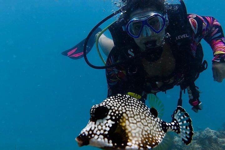 Plongée Eco Conscious Reef avec Southpoint Divers