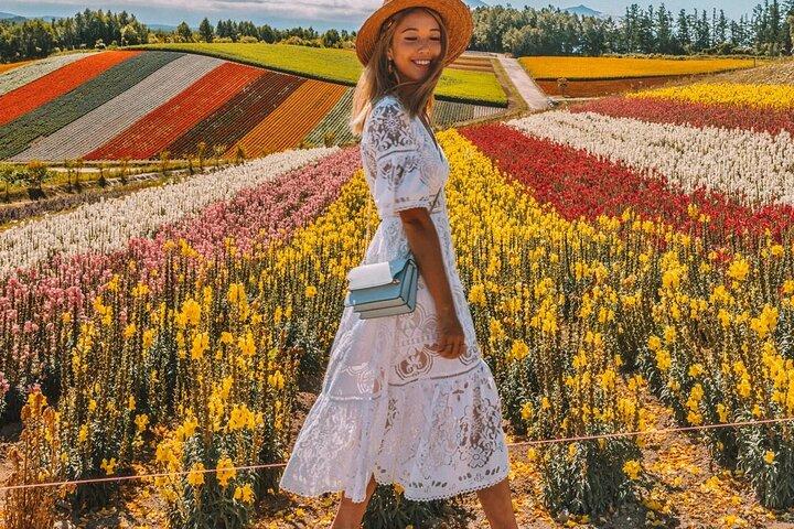 Hokkaido : Biei Blue Pond & Furano Lavender Farm Day Tour