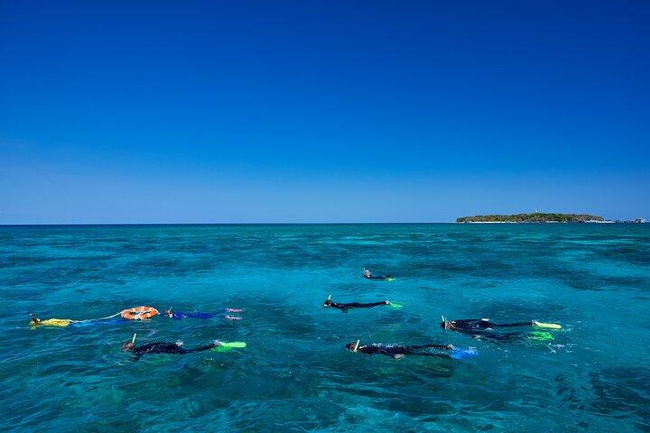 Explora Green Island con opciones de buceo desde Cairns