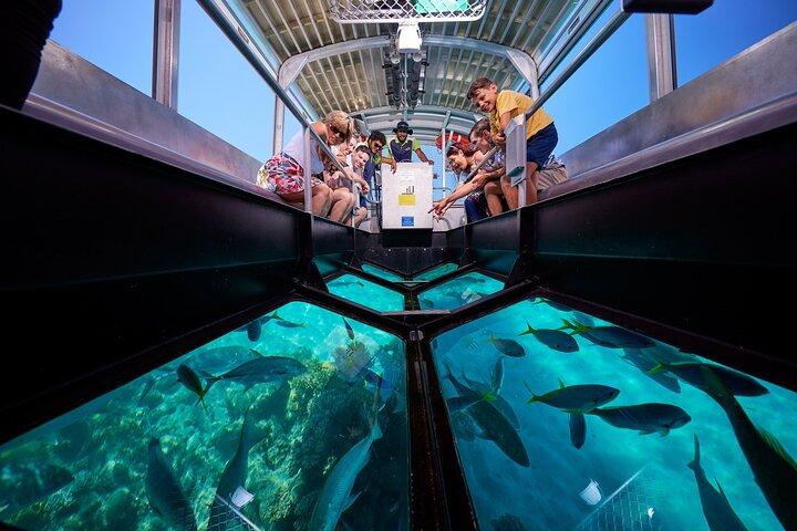 Explora Green Island con opciones de buceo desde Cairns