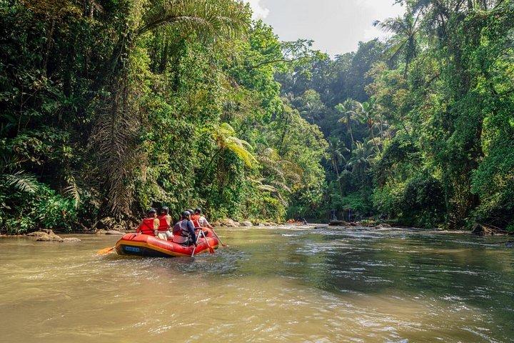 Quad e Rafting inclusi a Ubud