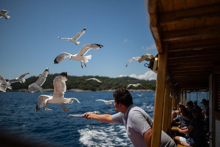 Elaphite island Hopping & City Walls Cruise com comida e bar