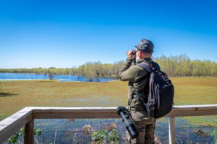 Fuglekigning i Buenos Aires - Costanera Sur Reserve