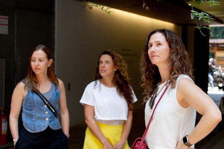 Contemporary Art Galleries Tour in Mexico City with Expert Guides