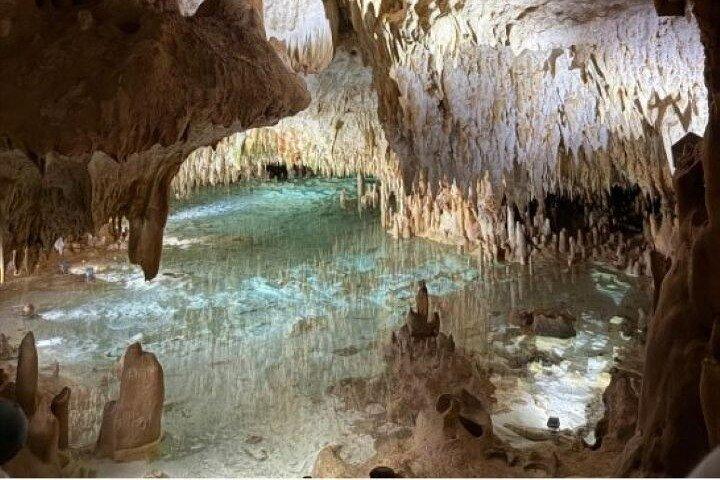 Razze marine, stelle marine e avventura nelle grotte di cristallo