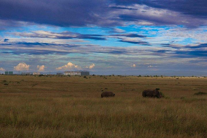 Nairobi National Park Tour Optional Elephant and Giraffe Center