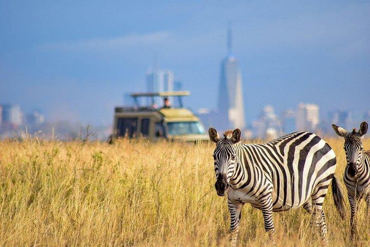 Nairobi National Park Tour Optional Elephant and Giraffe Center