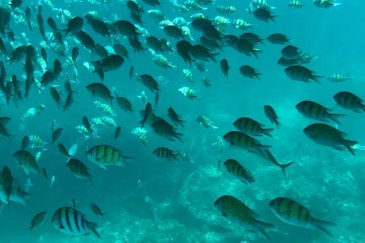 Excursión en minibús desde Phuket