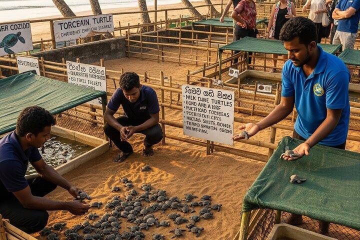 インドルワまたはベントータホテルからのプライベートゴール日帰りツアー