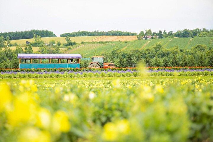 Bauernhof Tomita Shikisai Hill Blauer Teich mit optionalem Buffet| Sapporo
