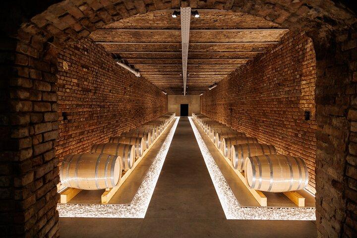 Wine tour e degustazione di vini