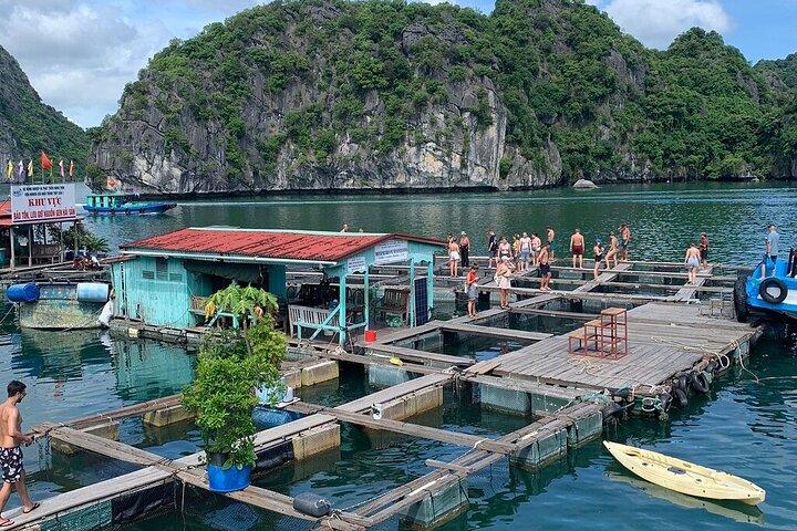 3D2N Descubra o deslumbrante Parque Nacional Cat Ba, Lan Ha Bay