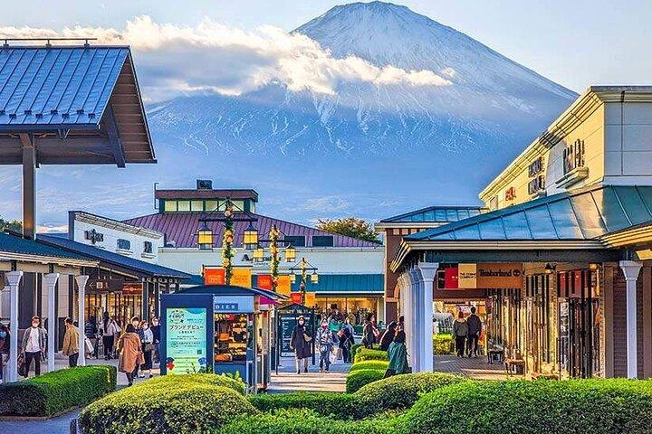 Mt. Fuji and Hakone Private Car Day Trip: Customizable Itinerary