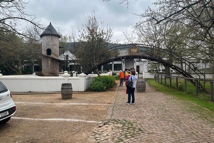 Cape Wine Experience Full-Day Tour!