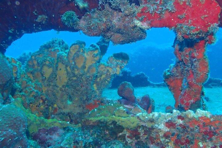Anguilla Based: Schemalagd 2 - Tankdykning (certifierade dykare)