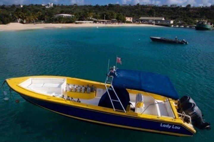 Anguilla Based: Schemalagd 2 - Tankdykning (certifierade dykare)