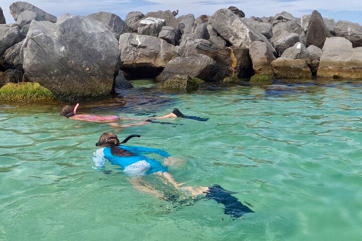 Delfines privados de la isla del cangrejo Snorkeling Sunset All Inclusive