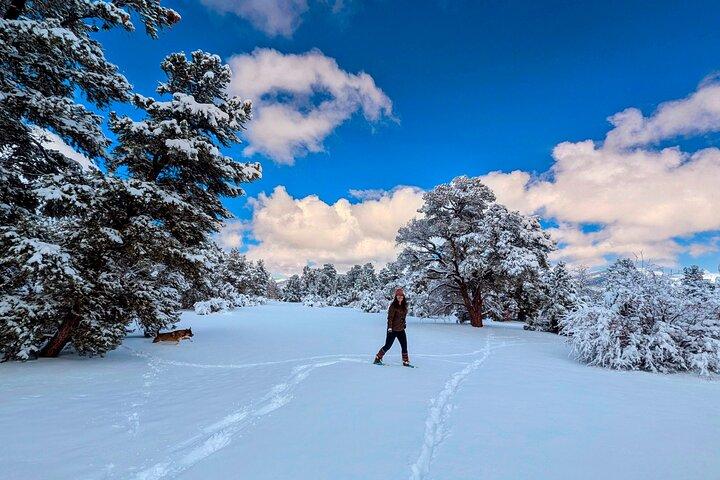 Big Bear Lake Snow Gioca Avventura