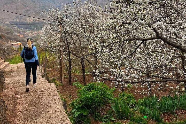 Marrakech: 1-Day Atlas Mountains with Imlil Valley & Waterfalls