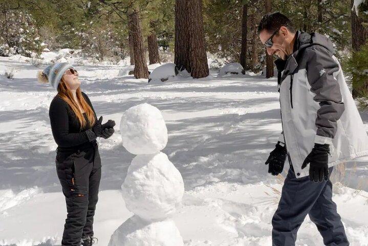 Big Bear Lake Snow Gioca Avventura