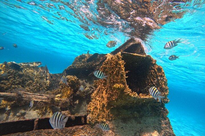 Cancun Schnorchelabenteuer