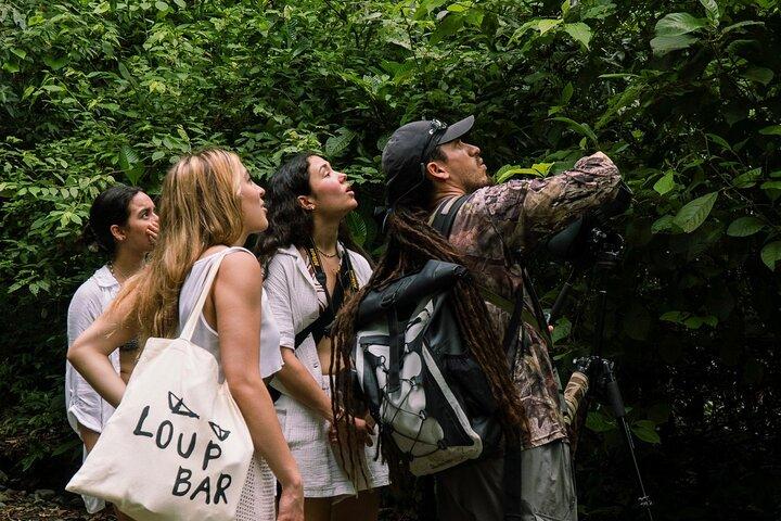 Visite d'observation des oiseaux de Manuel Antonio Esquipulas