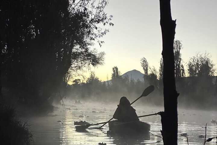 Sunrise Kayak Tour in Xochimilco