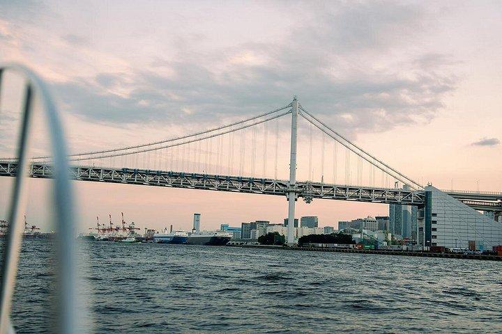 Tokyo Private Night Cruise Experience