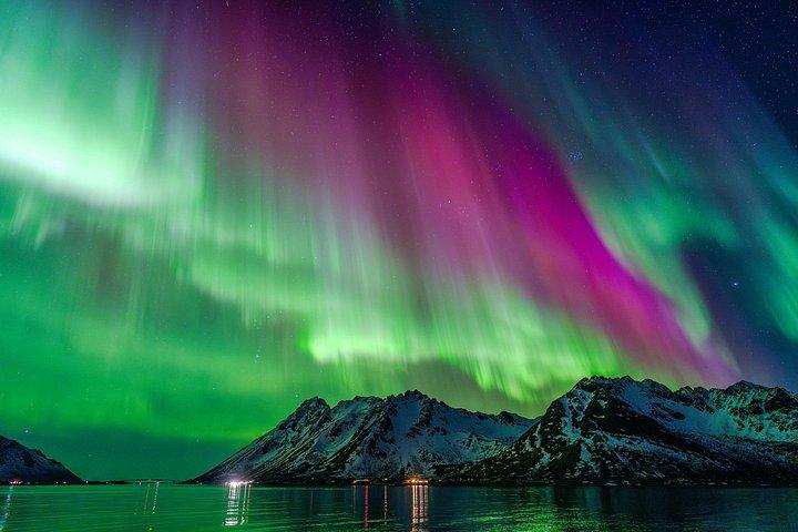 Nordlichtertour ab Henningsvær