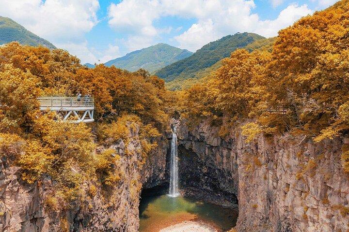 ソウル発DMZツアー：第3トンネル、北朝鮮ビュー、ユネスコバレー