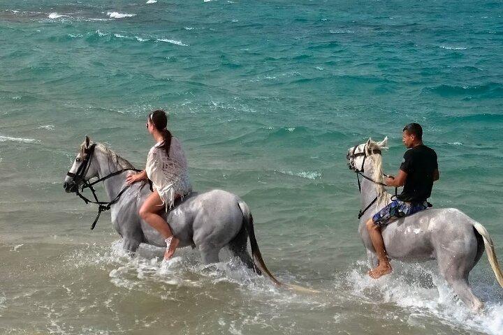 Hestetur på ørkenen og havet fra Hurghada