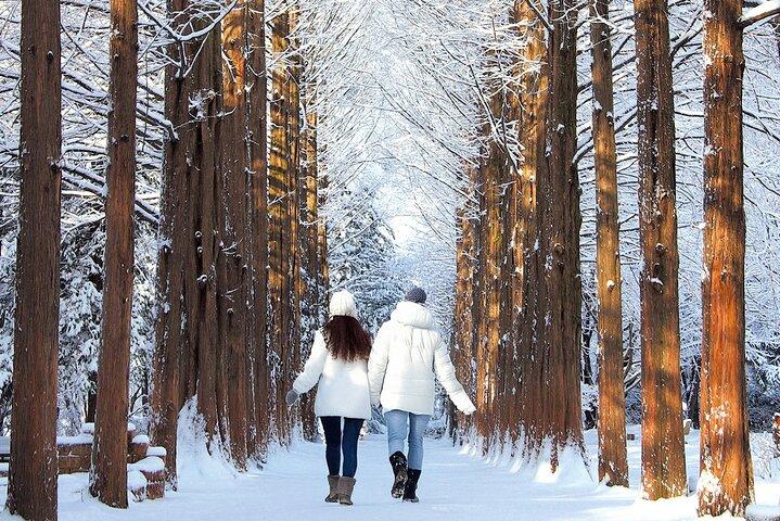 ソウル発雪岳山、エオビアイスバレー＆ナミ島ウィンターツアー