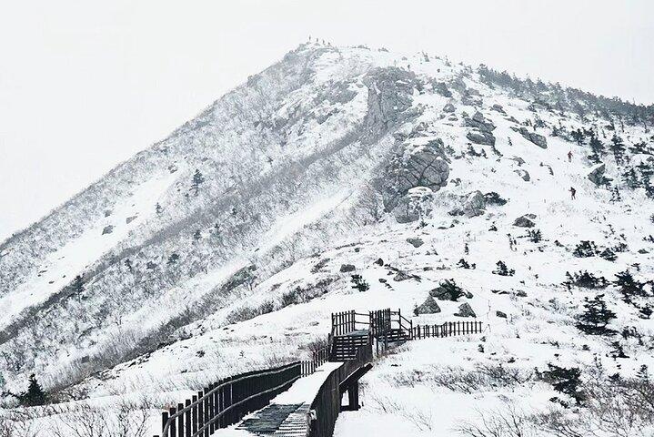 ソウル発雪岳山、エオビアイスバレー＆ナミ島ウィンターツアー