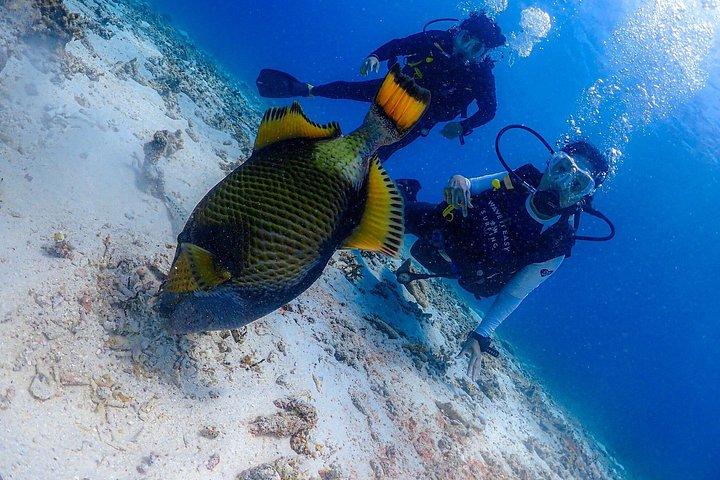 Phuket Scuba Diving Racha Islands for All Level Divers