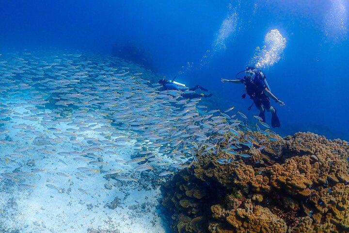 Phuket Dykning Racha Islands for alle niveauer