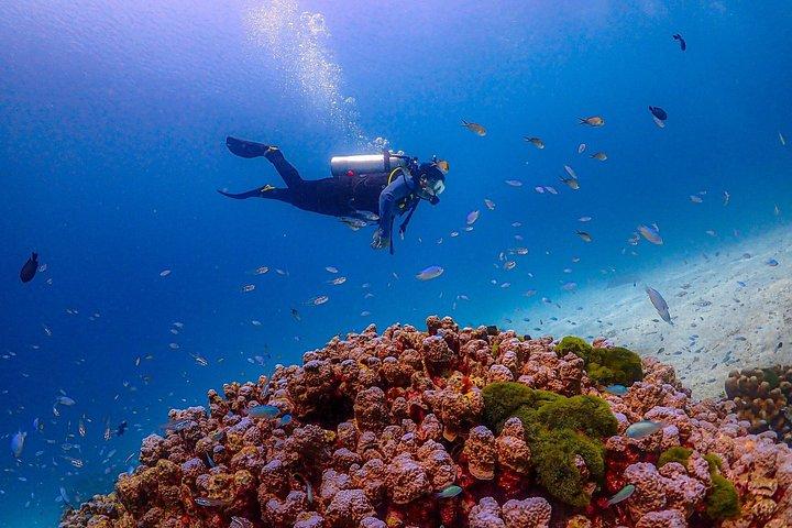 Phuket Scuba Diving Racha Islands for All Level Divers