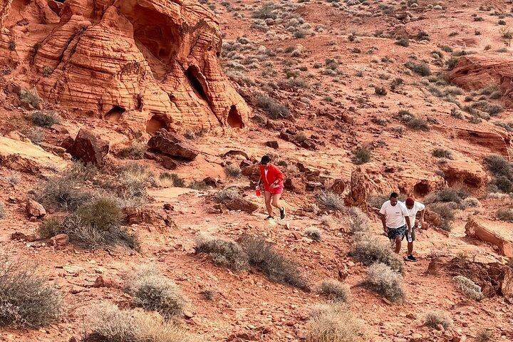 Vallée du feu et visite du désert de Mojave au départ de Las Vegas