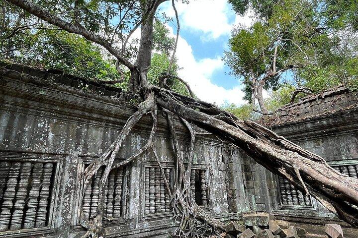 Beng Mealea and Koh Ker Temples Private Tour