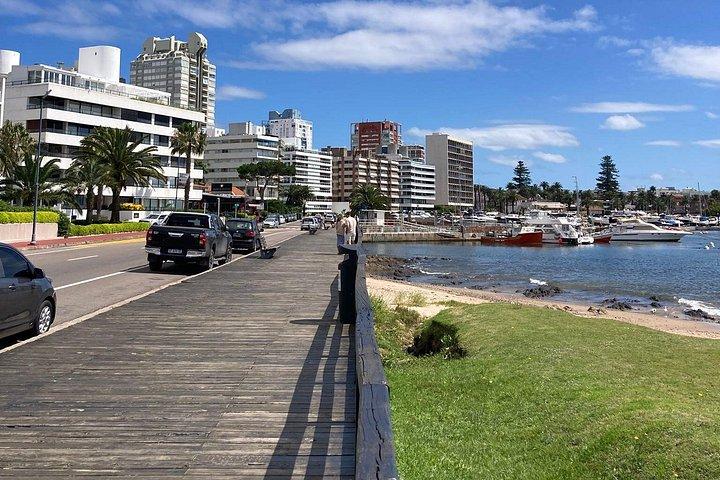 Private Tour in Punta del Este with a Local -Customizable Add-ons