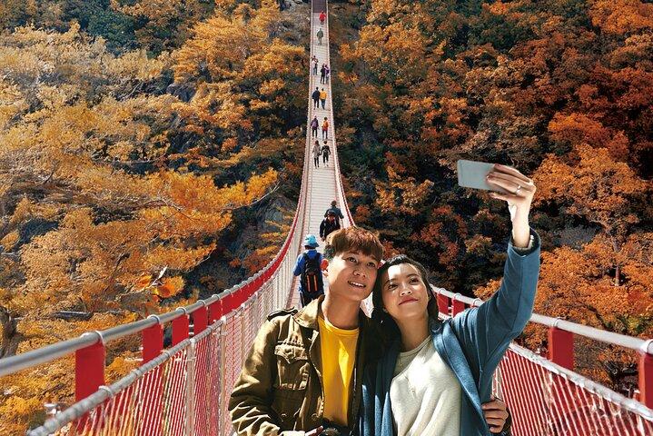 DMZ Tour fra Seoul: 3rd Tunnel, Nordkorea View, Suspension Bridge