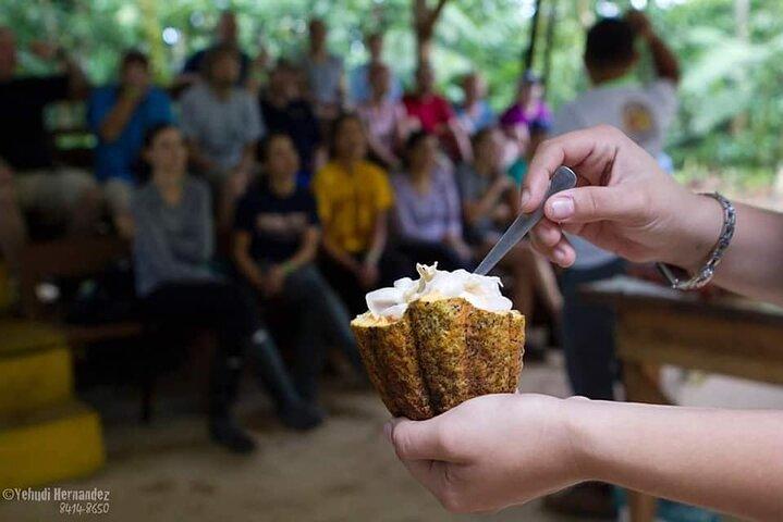 Chocolate and Cultural Tour in Costa Rica