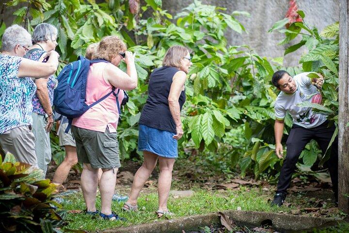 Chocolate and Cultural Tour in Costa Rica