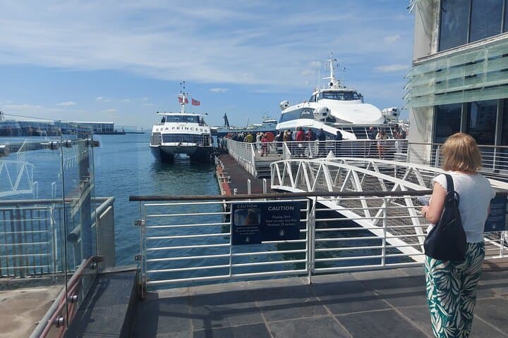 Robben Island with Pre-Booked Tickets Half day Tour